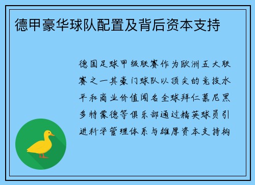 德甲豪华球队配置及背后资本支持
