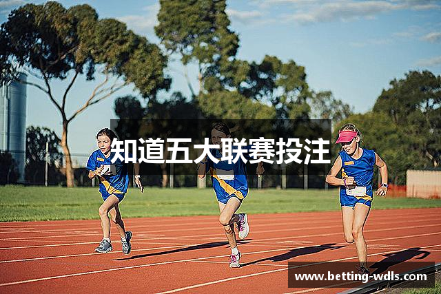知道五大联赛投注